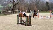 Poney 6 ans pour grosse epreuve