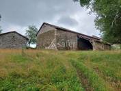 Corps de ferme sur 18ha avec plantation de Douglas