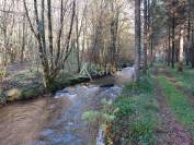 Corps de ferme sur 18ha avec plantation de Douglas