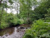 Corps de ferme sur 18ha avec plantation de Douglas