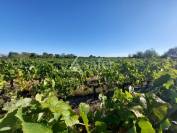 Bâtiments EXPLOITATION en parfait état - Nord Médoc