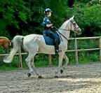 Poste policier municipal à cheval 