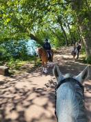 Poste policier municipal à cheval 