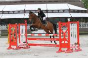 DP sur cheval de sport - Yvelines