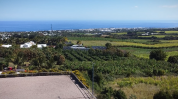 Location gérance centre équestre à l'ile de la Réunion