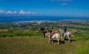 Location gérance centre équestre à l'ile de la Réunion