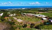 Location gérance centre équestre à l'ile de la Réunion