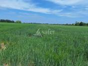 Vente terres agricoles libres