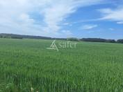 Vente terres agricoles libres