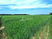 Other agricultural property  Loiret