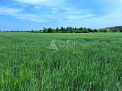 Other agricultural property  Loiret