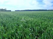 Other agricultural property  Loiret