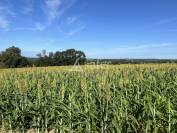 Propriété agricole sur 16ha