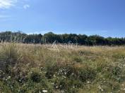 Other agricultural property  Lot-et-Garonne