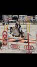 poney de sport 