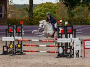 Poney D de sport 