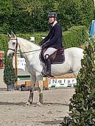 Bavallon de Moreton cheval de 14 ans CSO