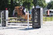 poney D cso 12ans