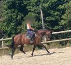 Jument origine dressage