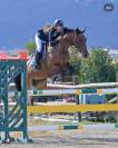 CHEVAL HONGRE 10 ans ideal  pour commencer amateur