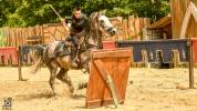 Devenez Artiste Équestre grâce à la Formation de Cheval