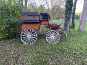 À VENDRE : La Jument Cob Normande Qui Fait Rêver ! 