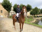 A VENDRE HONGRE 7 ans SF Casallo x Baloubet du Rouet