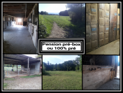 Pension pour chevaux