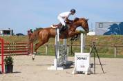 Jument SF, 12 ans , CSO amateur 2 et 3 