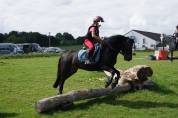 Ponette Dartmoor B 