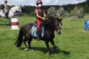 Ponette Dartmoor B 