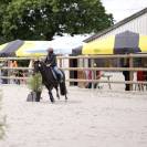 Ponette Dartmoor B 