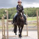 Ponette Dartmoor B 