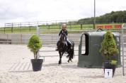 Ponette Dartmoor B 