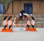 HAFLINGER 8 ANS