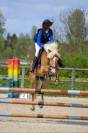 Poney de sport