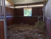 Pension Box / Paddock, travail & coaching possible