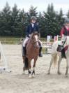 Poney de sport Dressage/obstacle