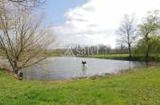 Etang de 2000 m² sur 3 Ha de terres