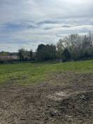 Pension chevaux - Earl des Cypres 95420 Magny en vexin 