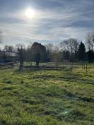 Pension chevaux - Earl des Cypres 95420 Magny en vexin 