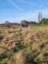 Haras Boréal - Écuries Laura Saine