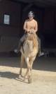 Caballo castrado PRE Pura Raza Española En venta 2016 Perlino