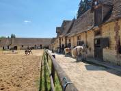 Pension pour chevaux