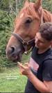Poulain de 3 ans à vendre 