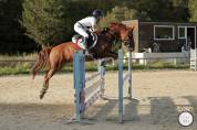 Poney PFS de 7 ans 