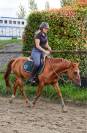 Poney PFS de 7 ans 