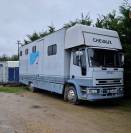 Camion chevaux iveco 