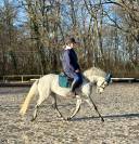 Ponette D 5 ans