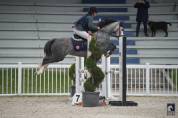 Poney D gros moyens 